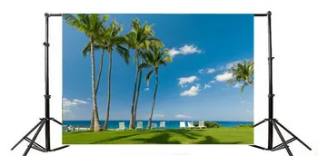 Фон для фотосъемки, Пляжный стул, Кокосовая пальма, Зеленая трава, Лужайка, Голубое небо, Белое облако, Природа, путешествия