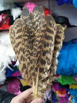 Оптовая продажа, идеальный комплект из натуральных леопардовых орлиных перьев 17-24 см/7-9 дюймов, декоративное сценическое представление 